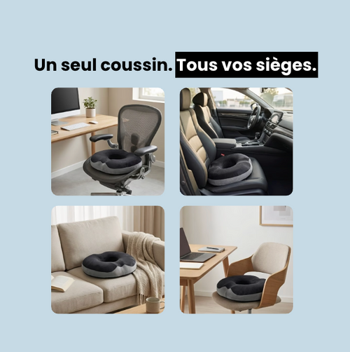 Coussin coccyx ergonomique pour siège de bureau CoccyDesk